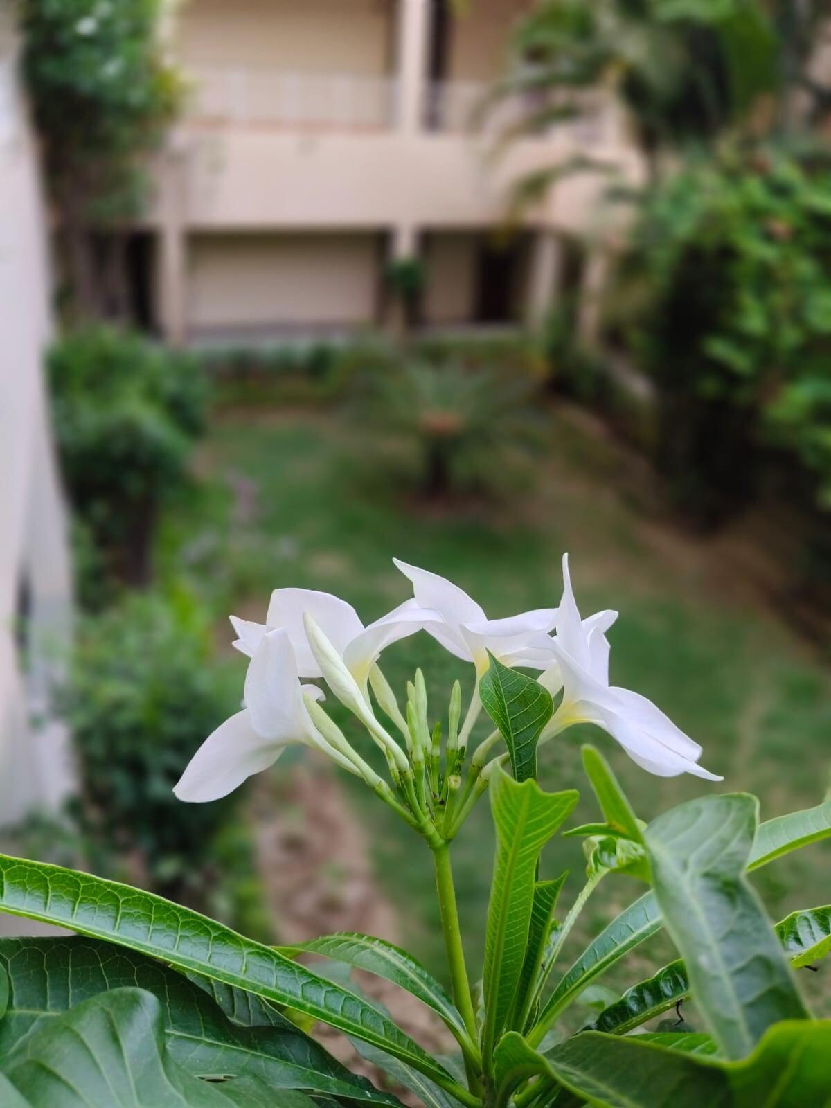 CONNECTION WITH NATURE